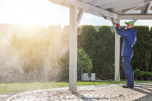 Best Spring Cleaning  in Monte Alto, TX